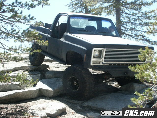 BALDMNT1