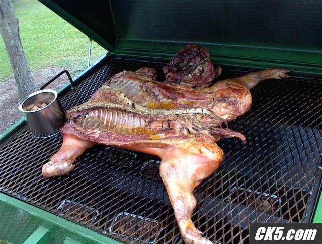 BBQ pig
