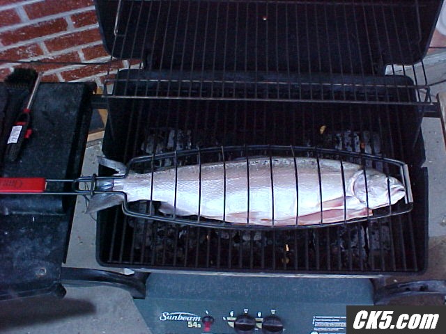 BBQfish