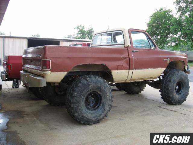 Big Turd