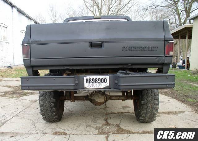 blackback