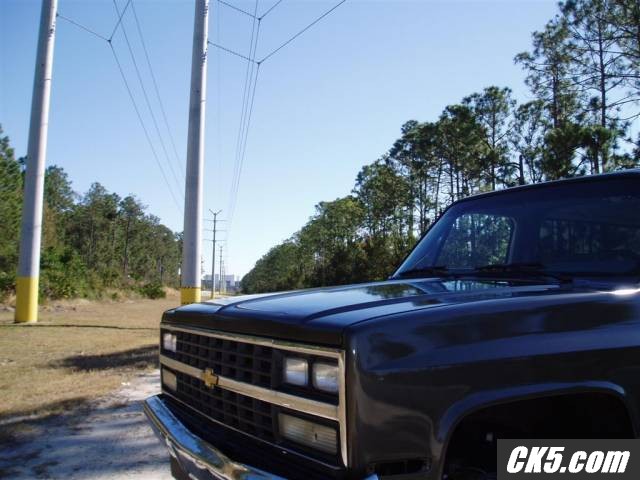 blazer painted
