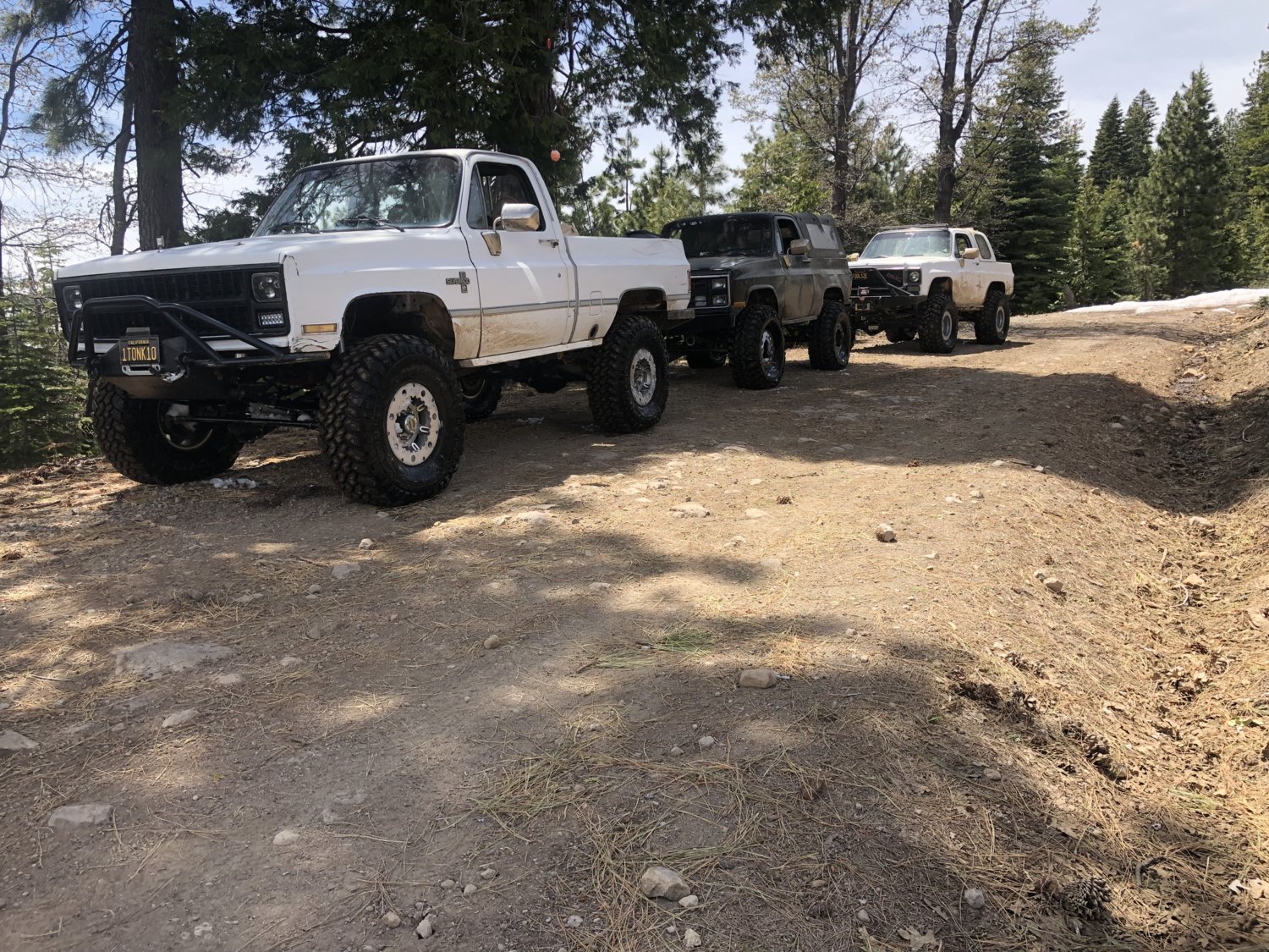 BM20