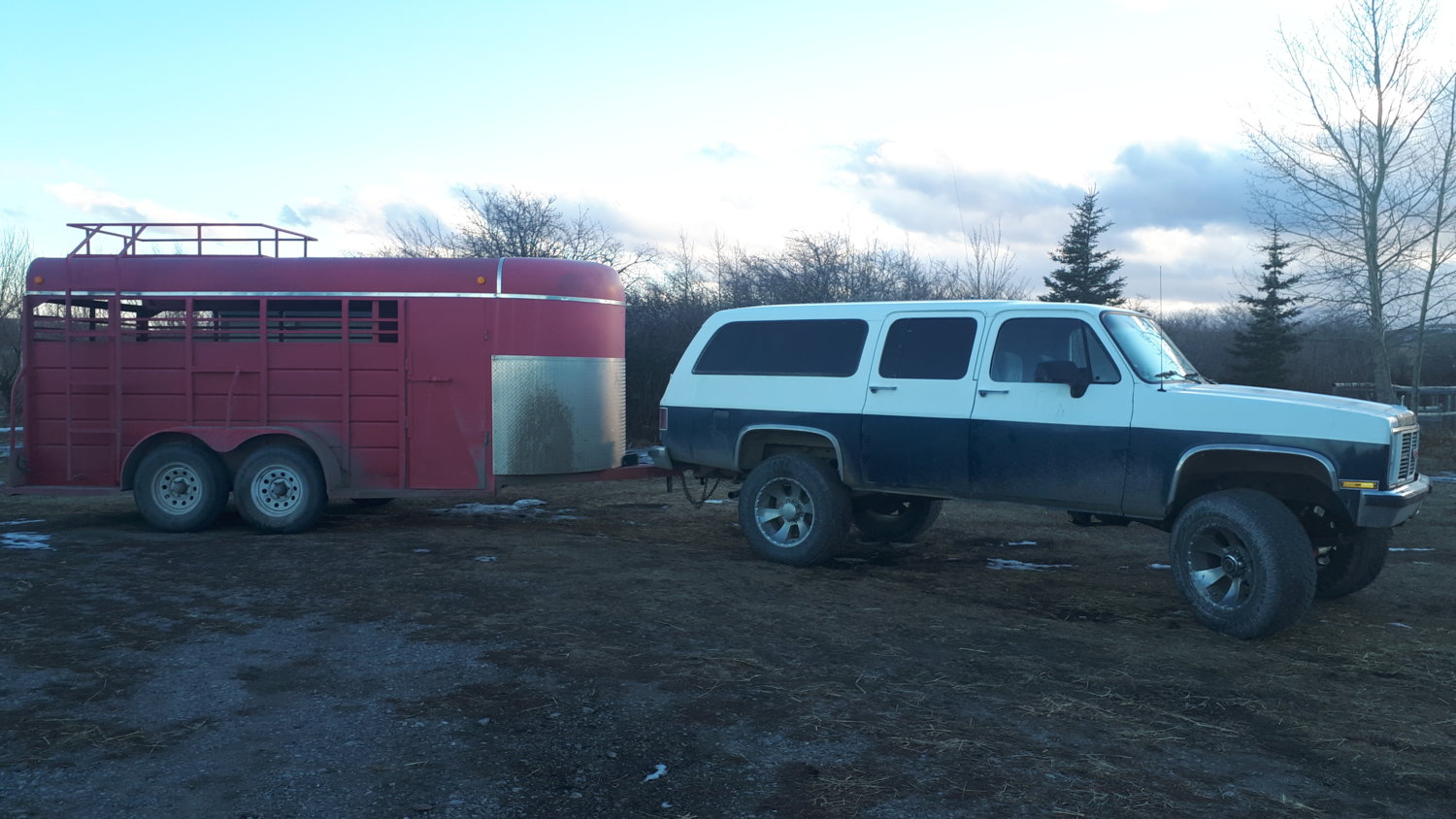 Bringing a new old horse out to Dad and Moms,  dad has a soft spot for good old horses, just loves to take care of them.