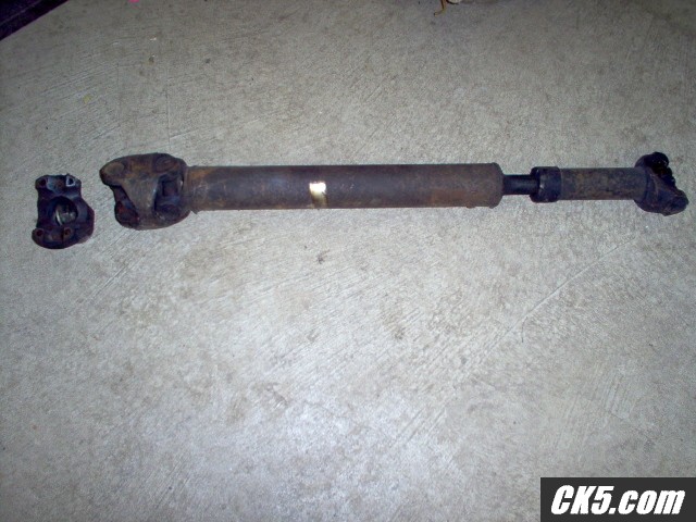 Bronco_1330_CV-r