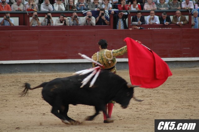 bullfight3