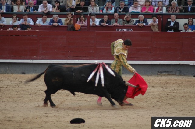 bullfight4