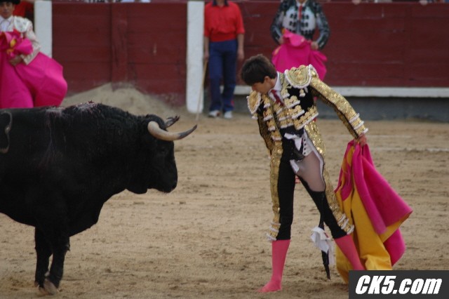 bullfight5