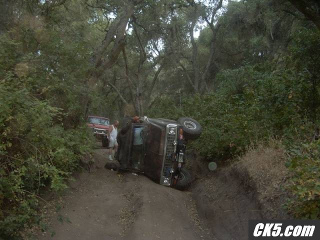 Burt_gone_wild_02