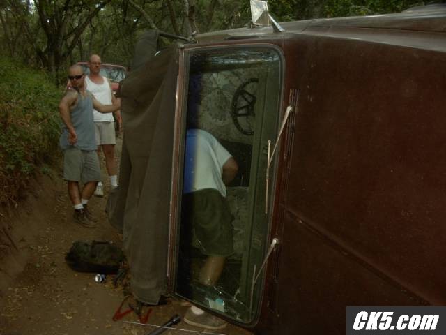 Burt_gone_wild_03