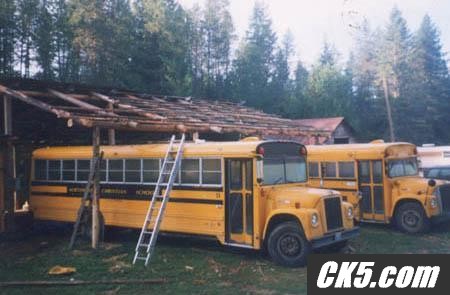Buses