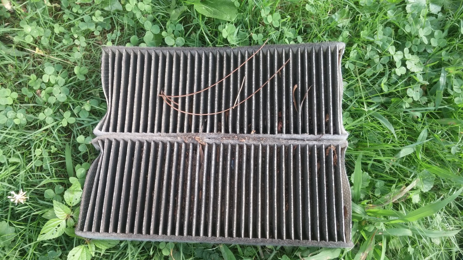 cabin air filters