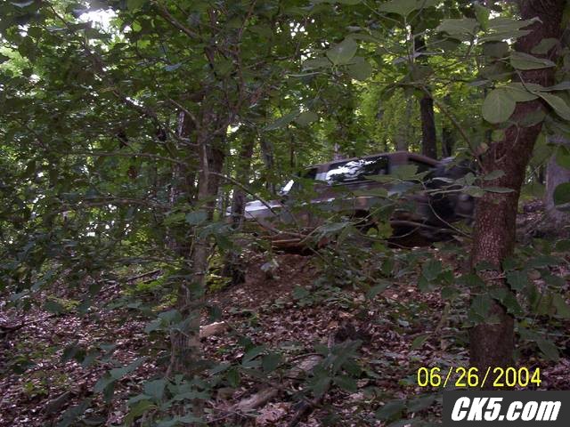 Camo at its Best