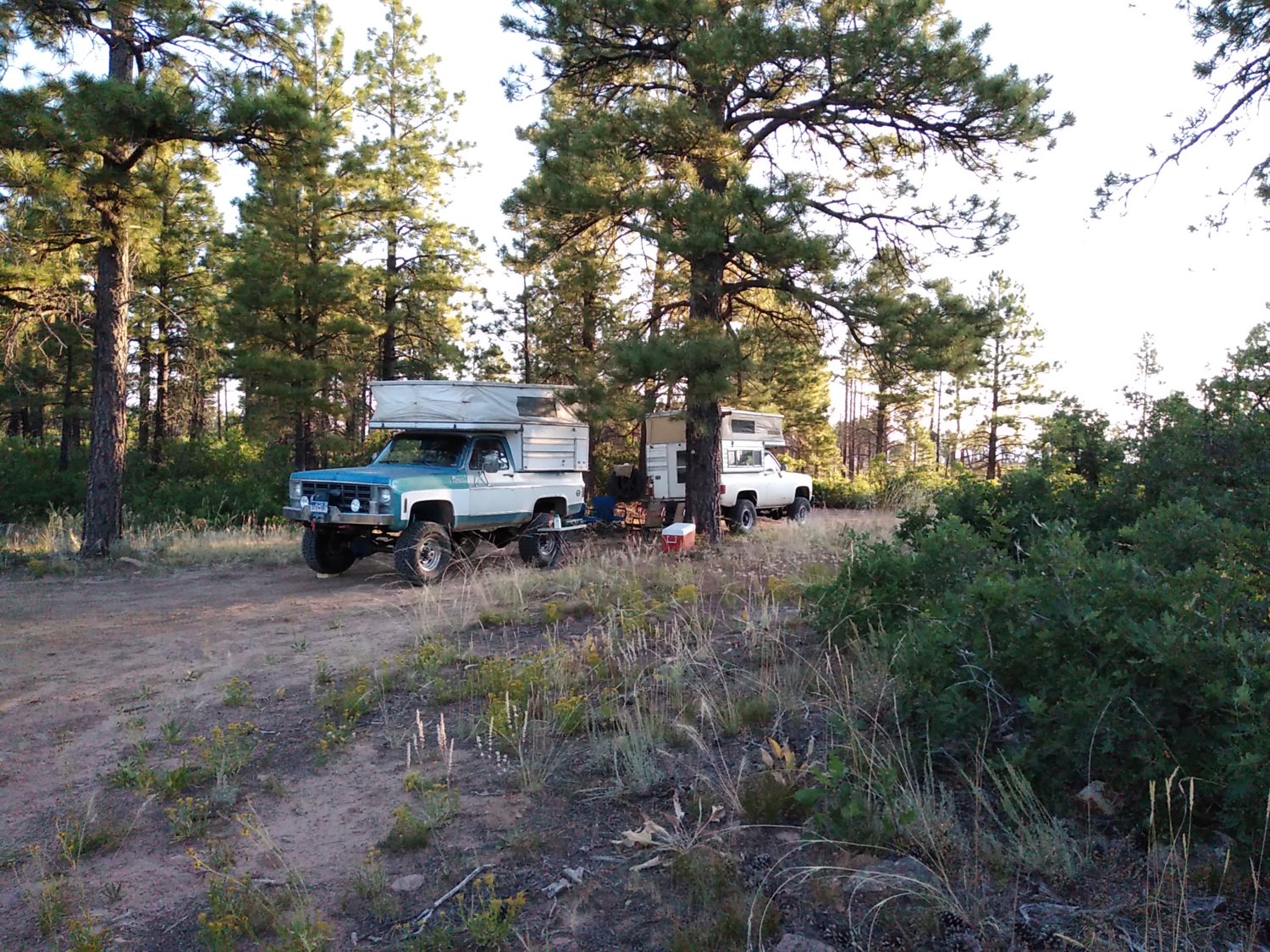 Camp