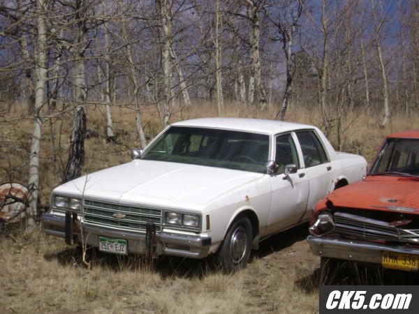 Chevys_012_600_x_450_
