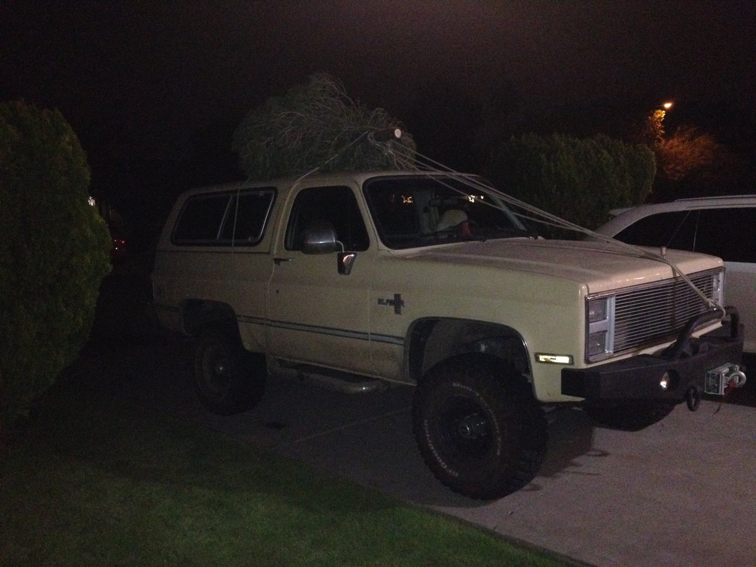 Christmas Tree