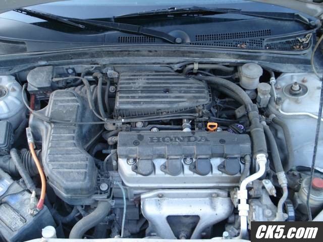civic8