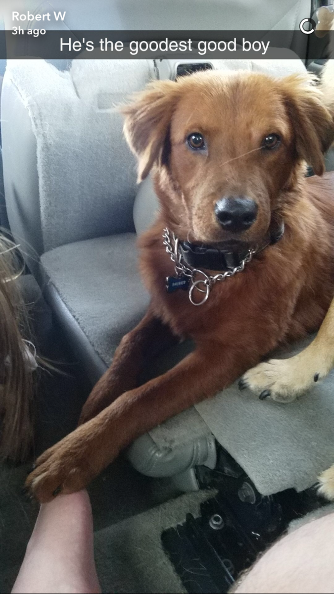 CO road trip