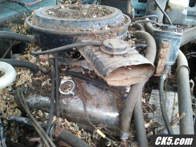 Corey_s_pics_1407