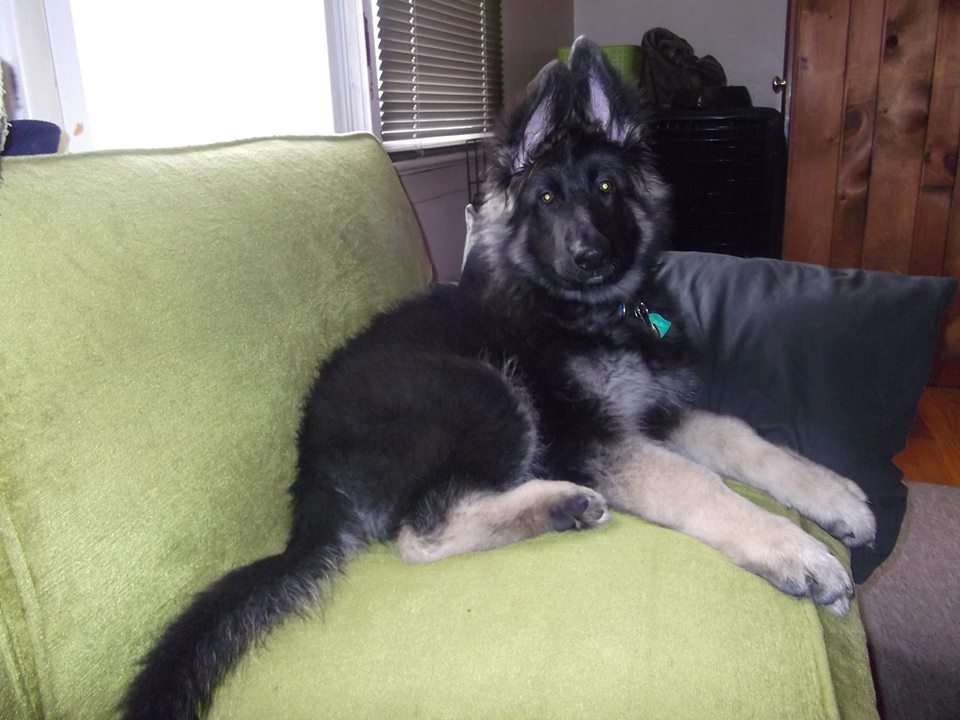 couch