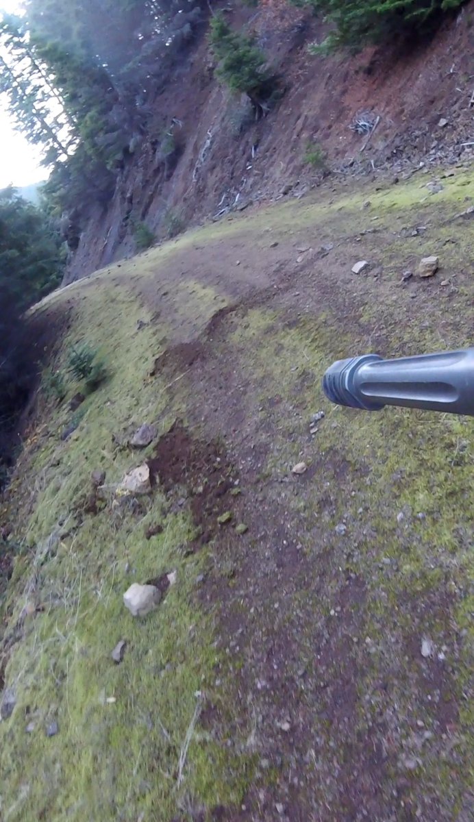 Cow skidmarks
