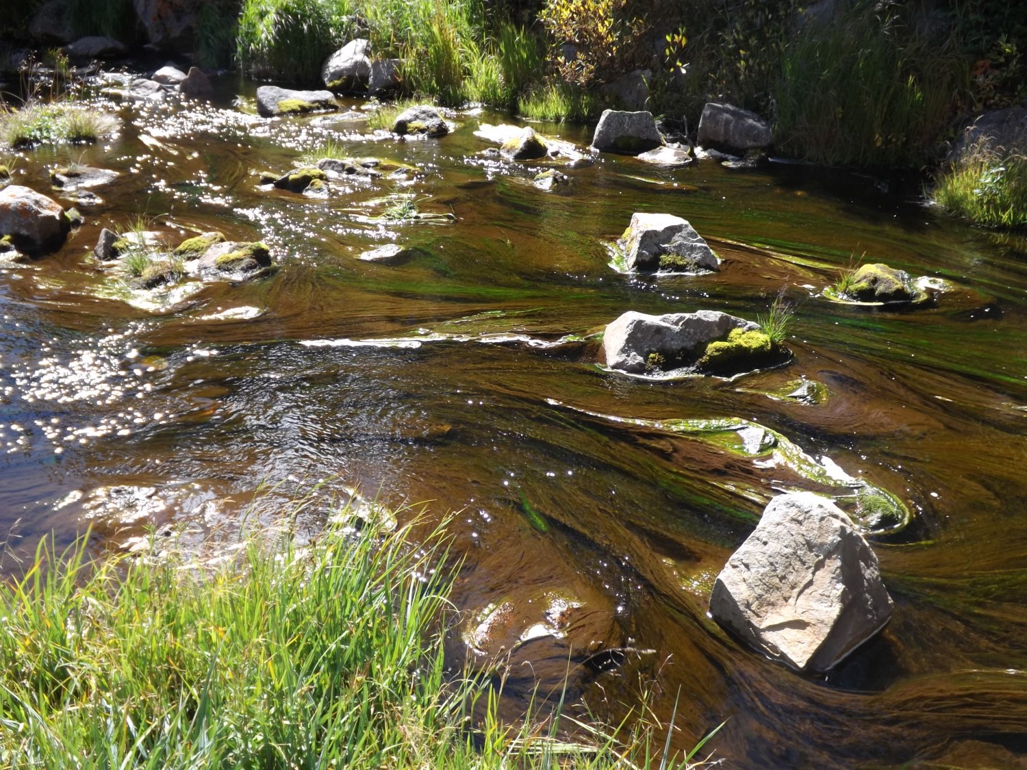 creek 2