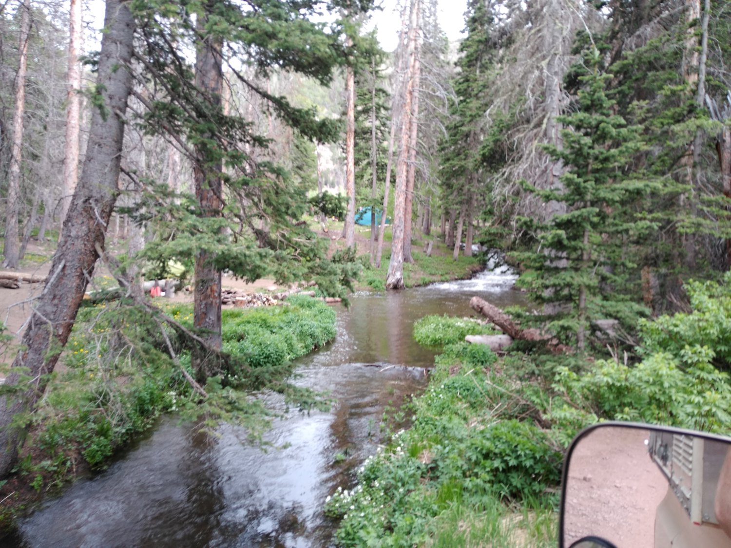 Creek by camp