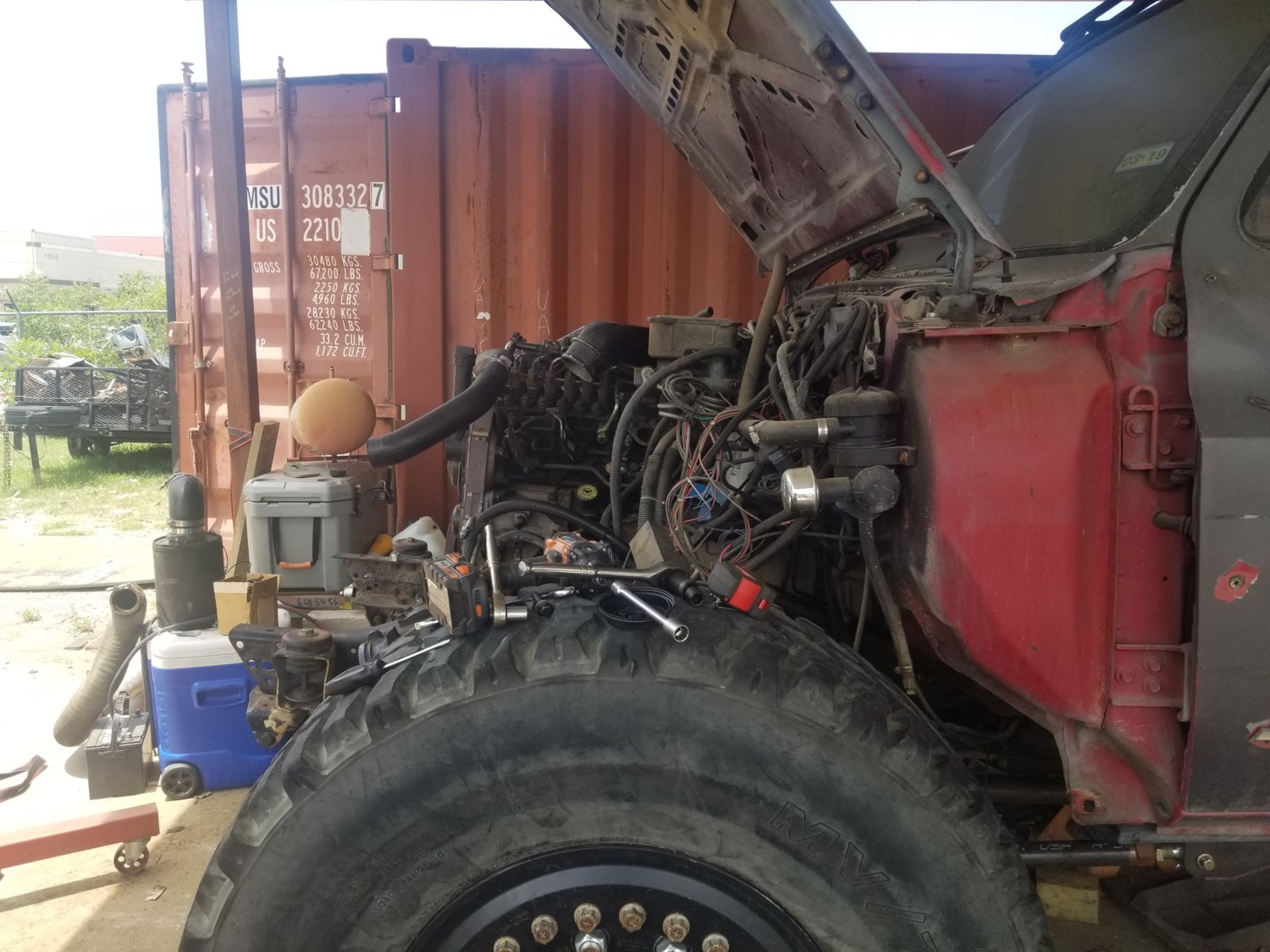 Cummins back in 2