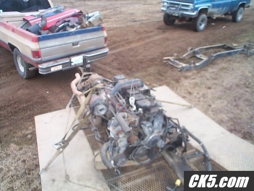 Cummins1
