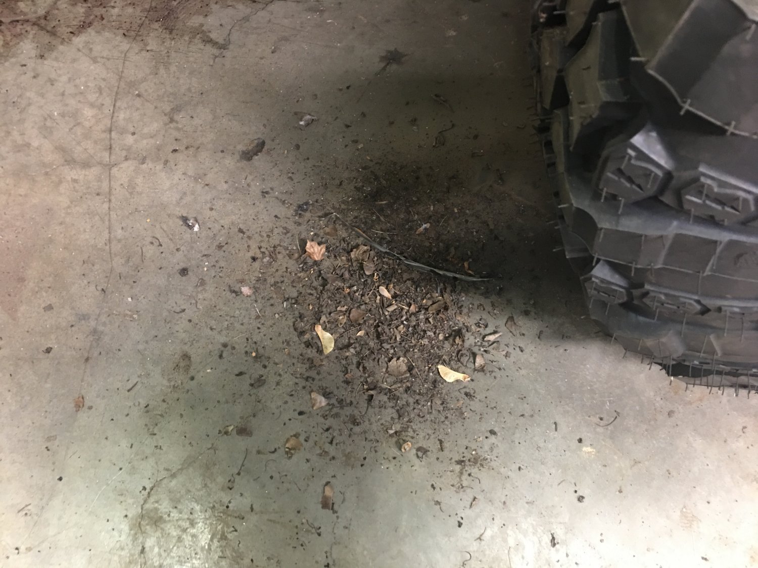 Dirt