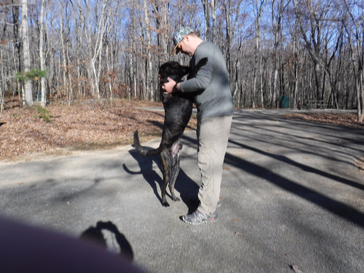 Dog is Happy to be there