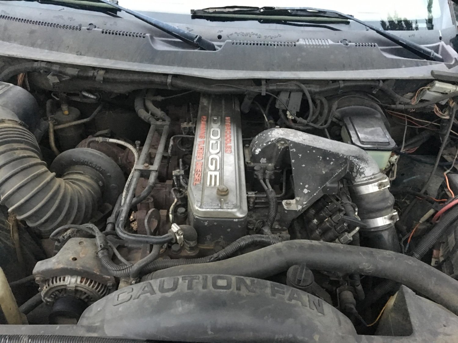 Donor Engine