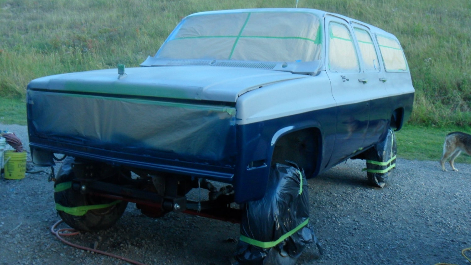 Drivers side blue