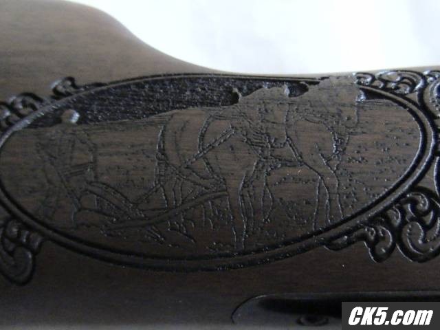 DSC00737