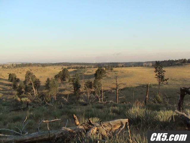 DSC00803