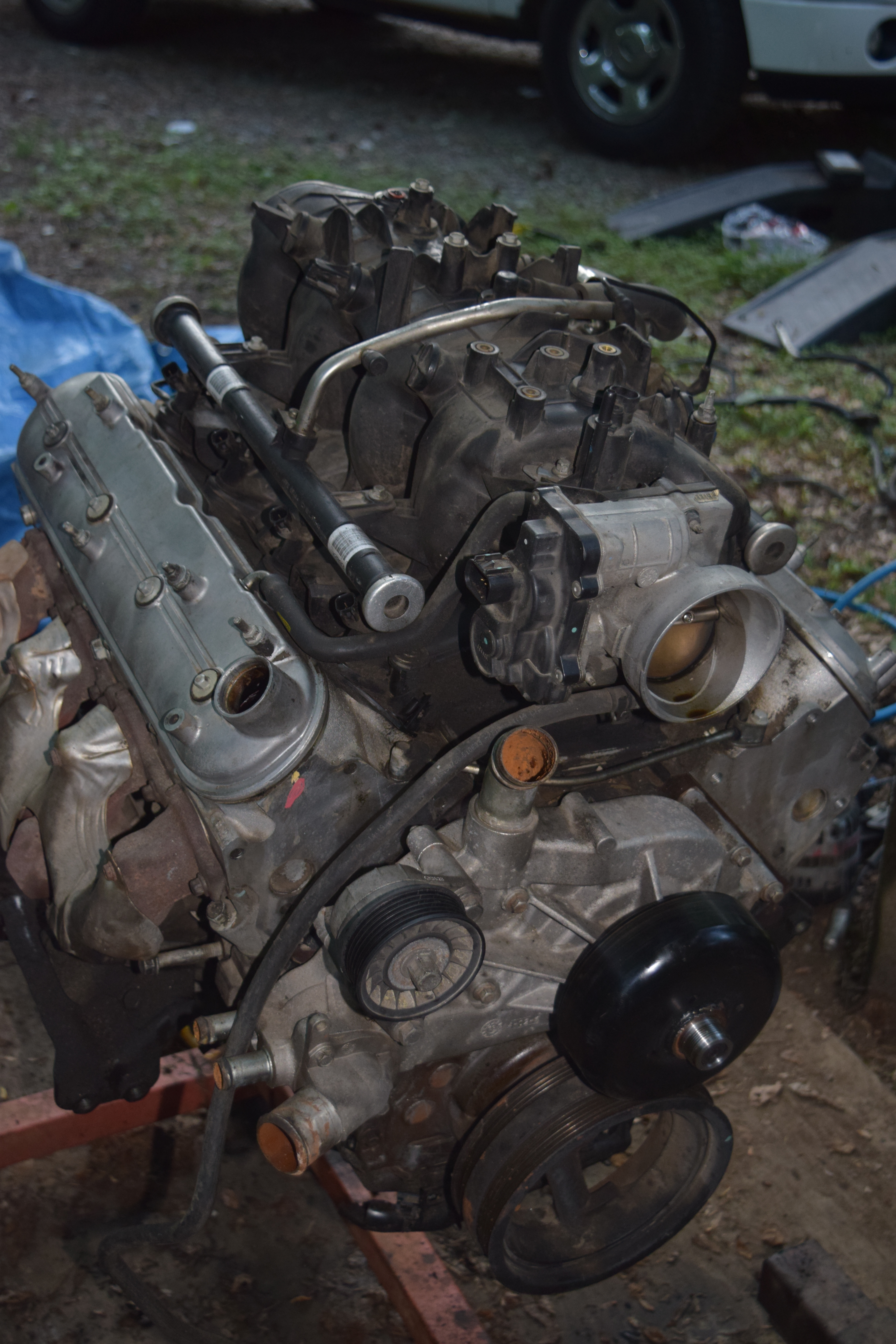 DSC_0076.JPG 11