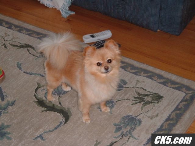 DSCF0039