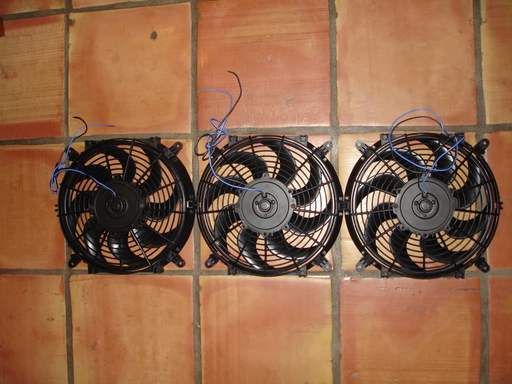 Fans