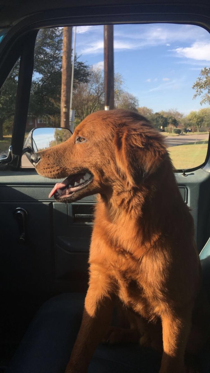First ride home