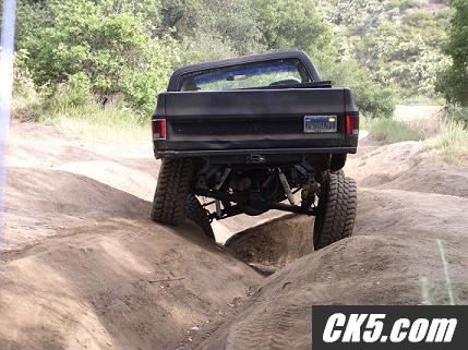 flexin_56_springs_sm