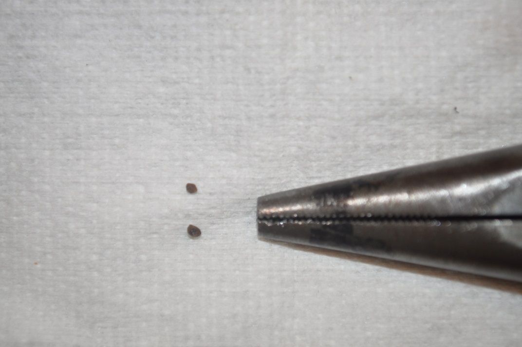 Found in valve body