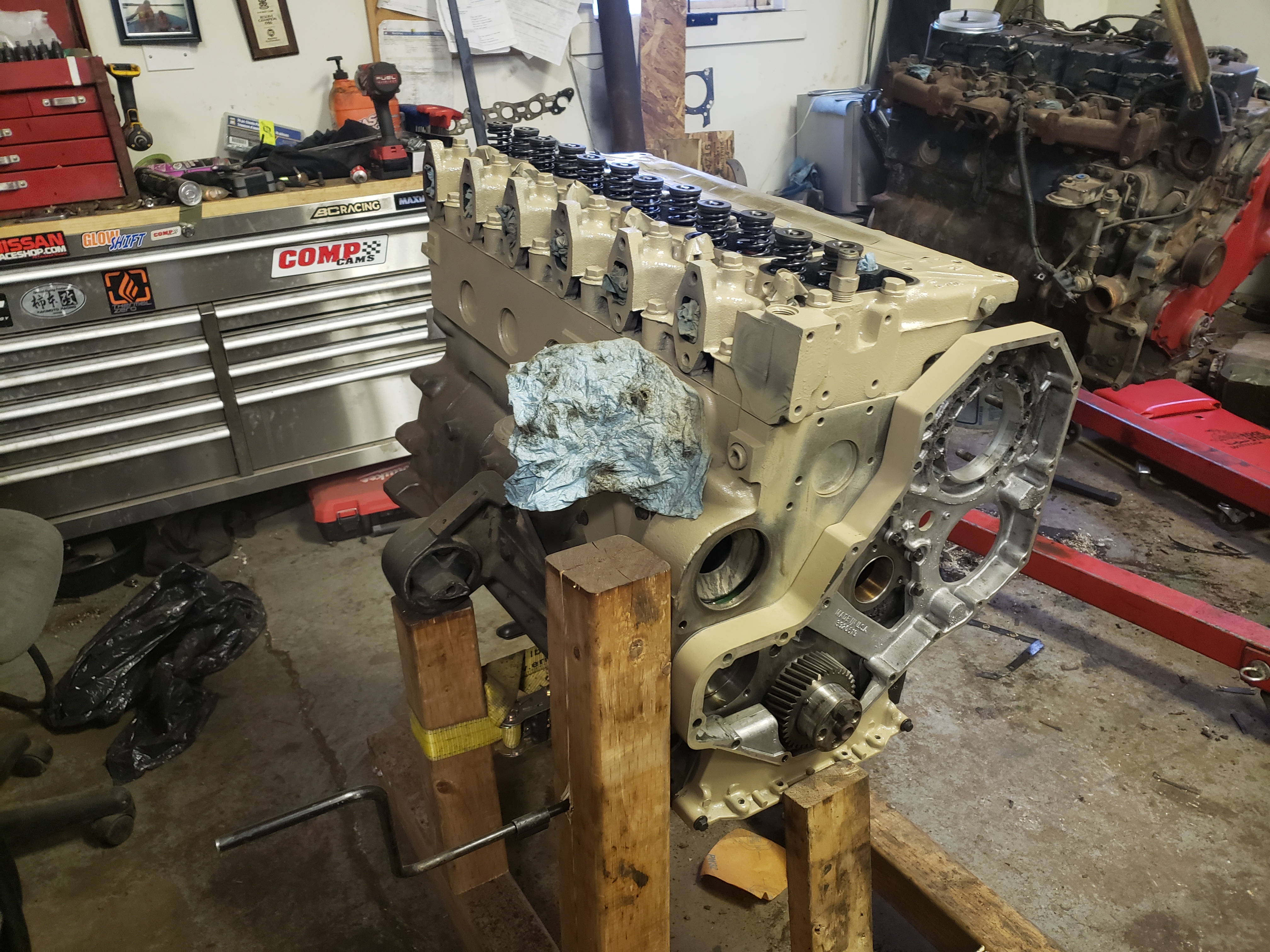 Front Cover and Head Paint