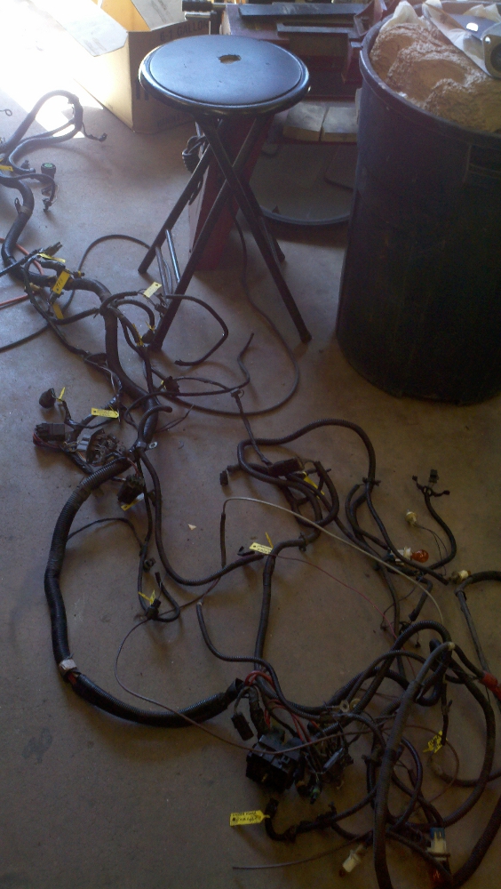 Harness 1