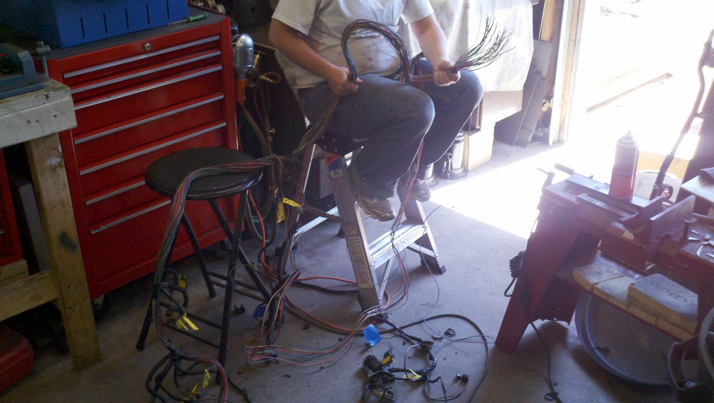 Harness 2