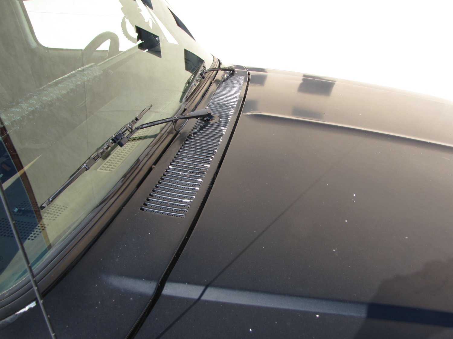 hood/ chipped paint