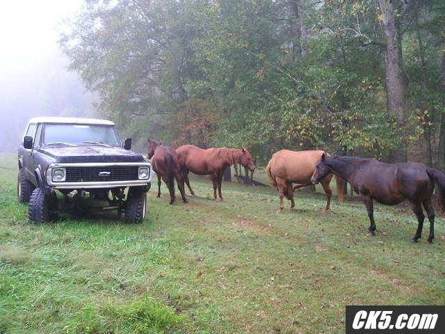horseblazer