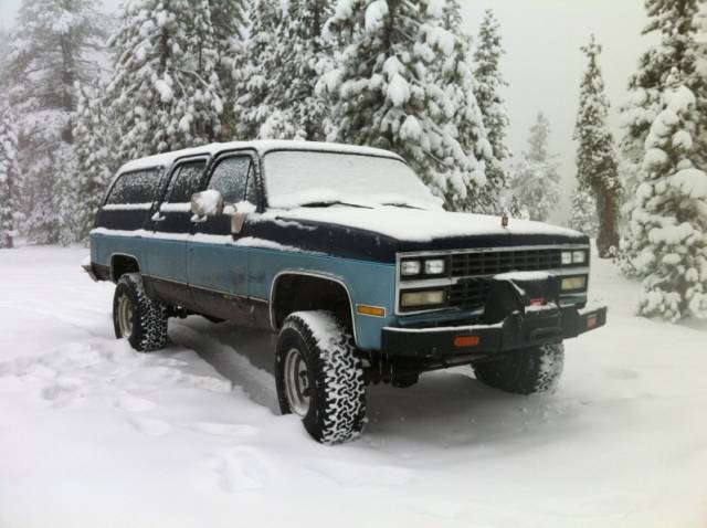 Hunting in Yuba Gap