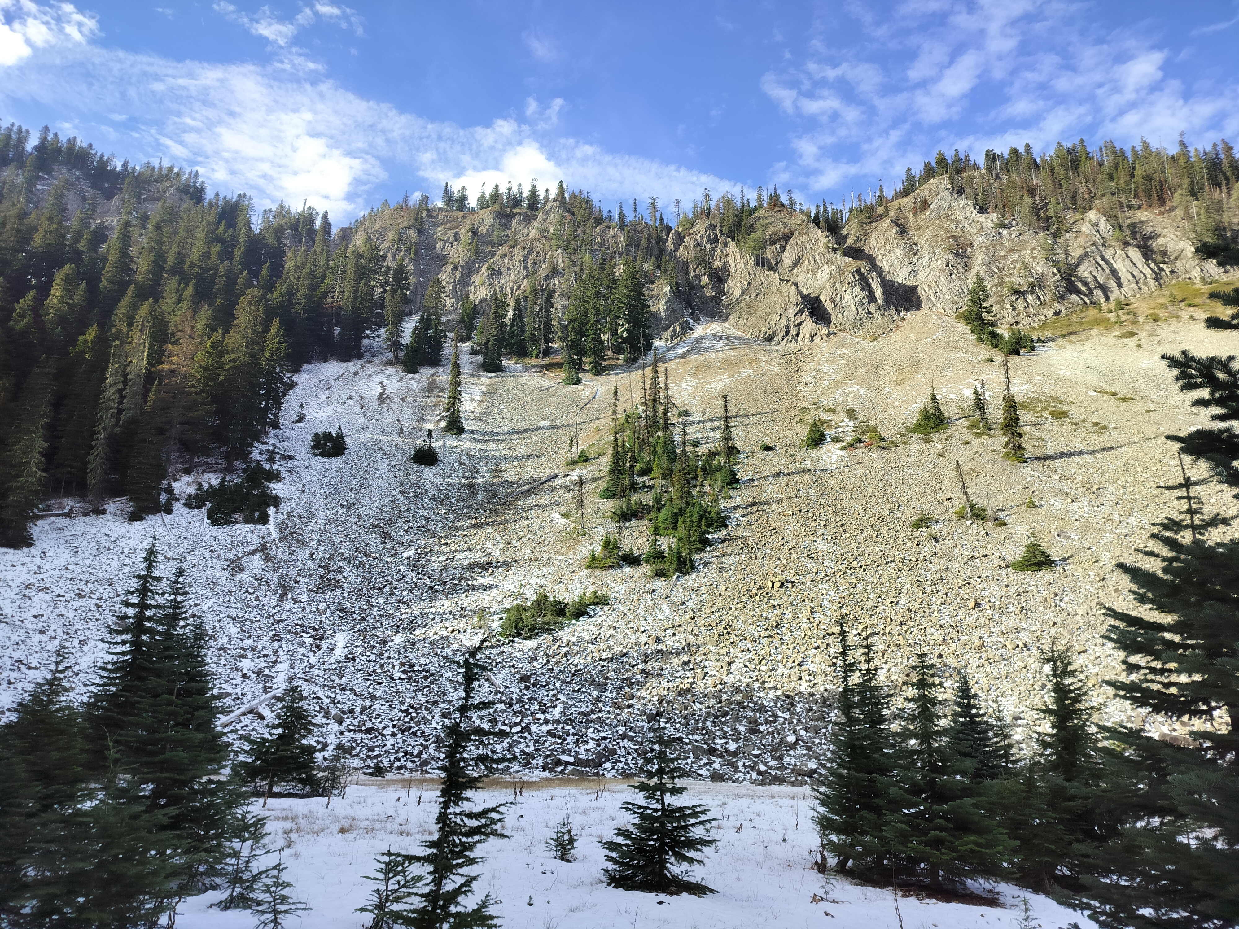 IMG20231031112346.jpg