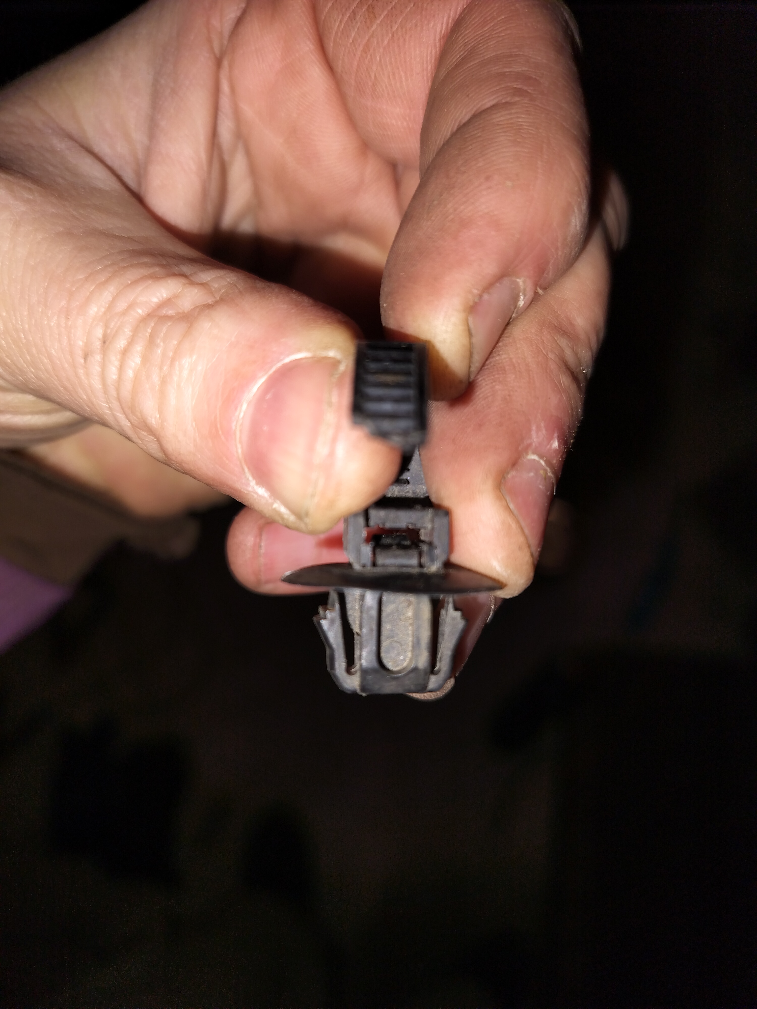 IMG20231231170428.jpg