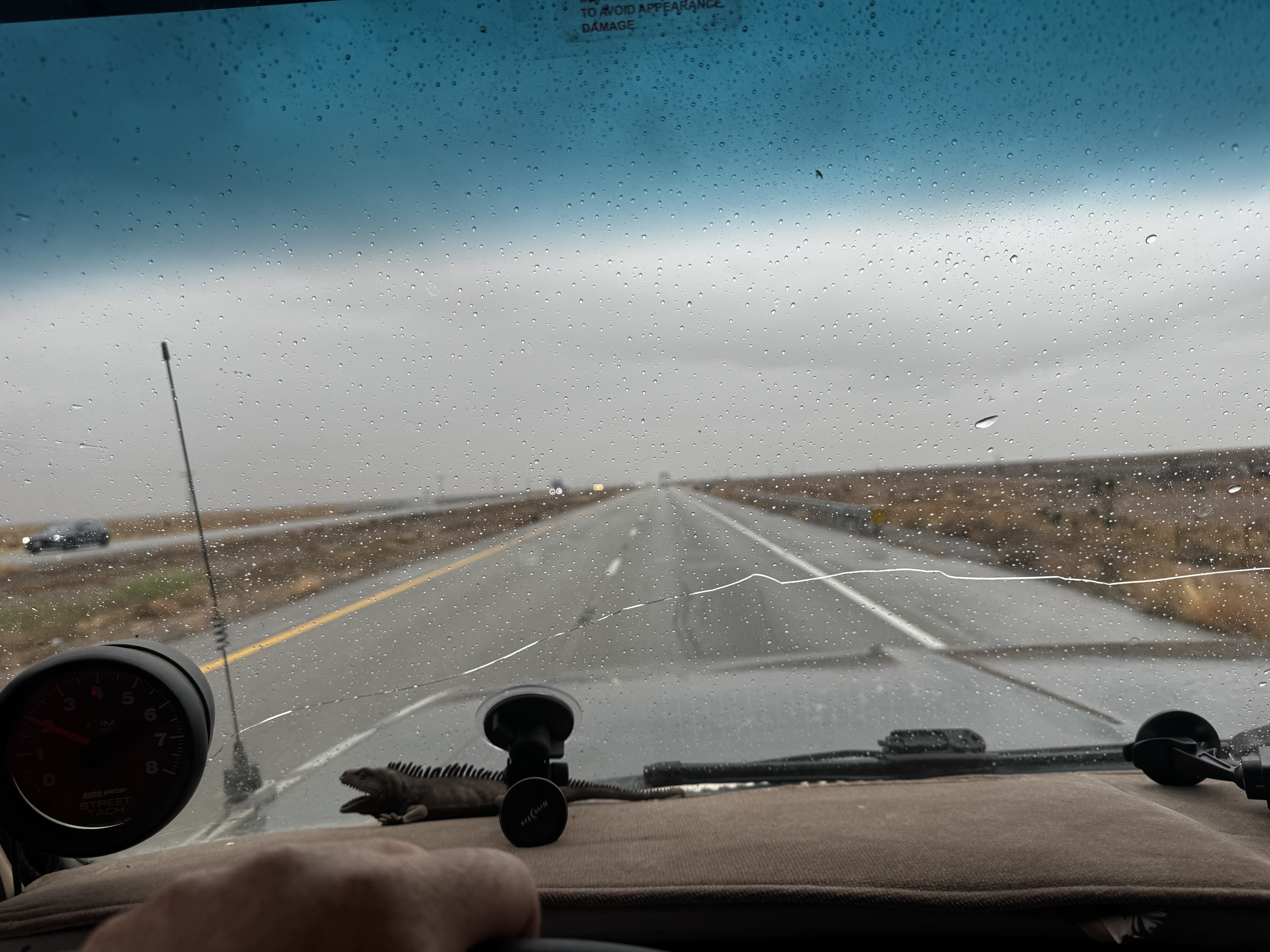 IMG_4224.jpeg